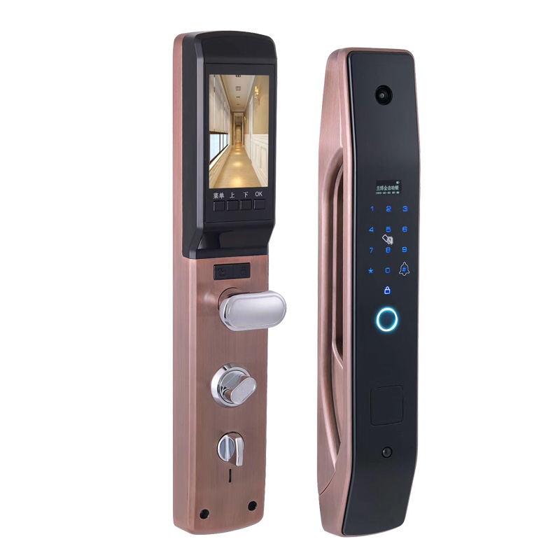 Smart Home Door Lock - HanDaily facile à installer serrure électronique